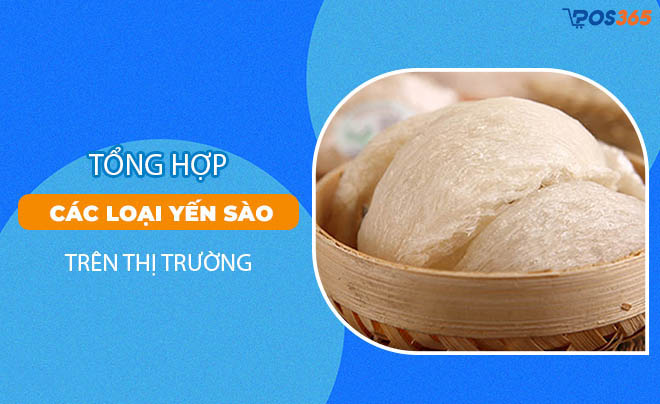 Các loại yến sào chất lượng tốt trên thị trường hiện nay