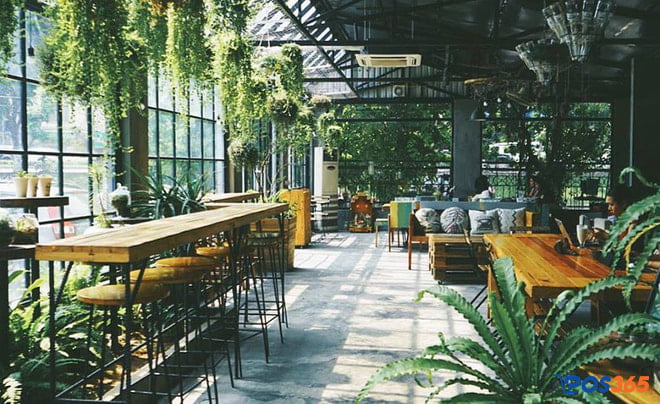 trang trí quán cafe bằng cây dây leo