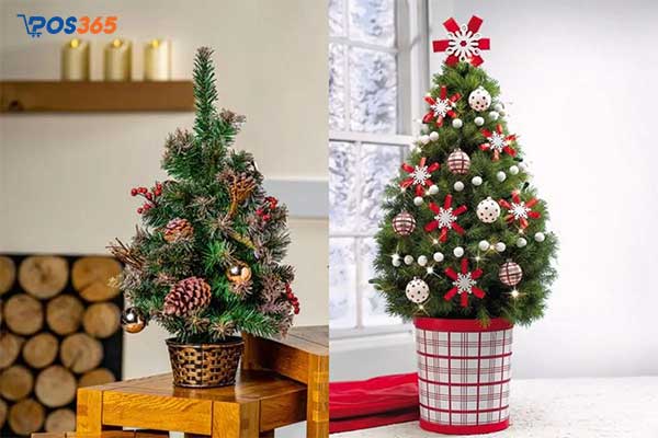 Cây thông Noel mini và bộ quả khô