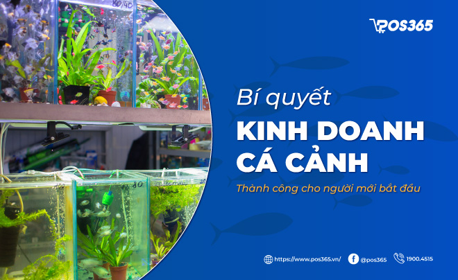 Bí quyết kinh doanh cá cảnh thành công cho người mới bắt đầu