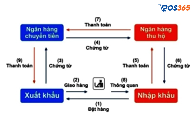 Quy trình thanh toán D/P