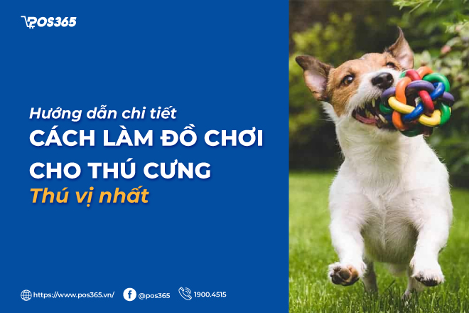 Hướng dẫn chi tiết cách làm đồ chơi thú cưng thú vị nhất 2024