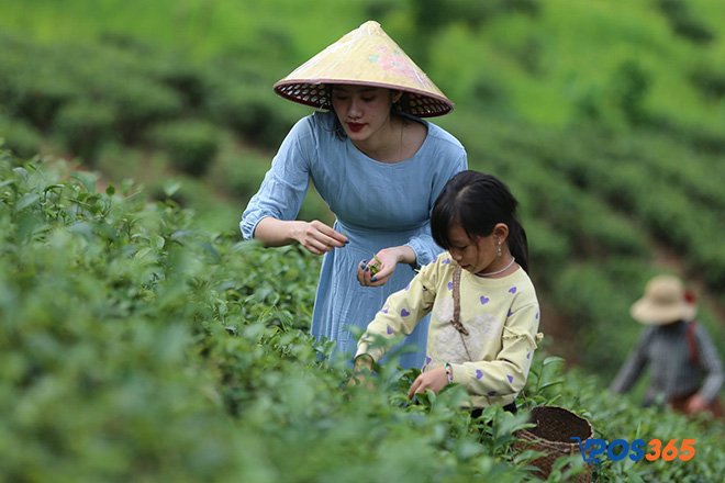 Tổng quan sản phẩm du lịch là gì?