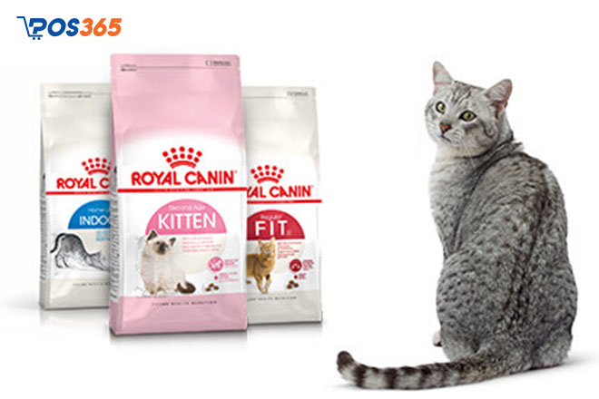 Thức ăn cho mèo con Royal Canin