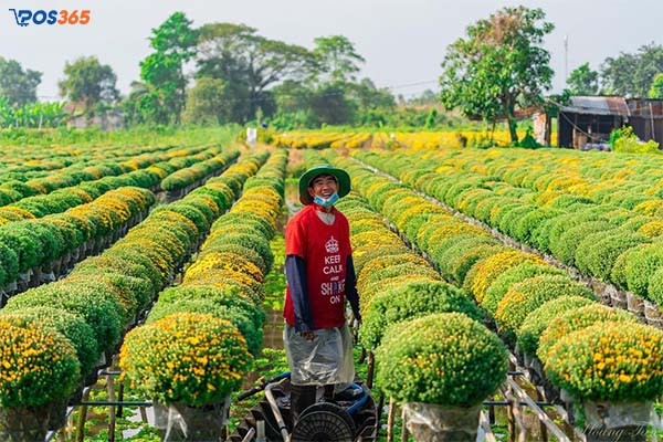 Làng hoa Sa Đéc - Đồng Tháp