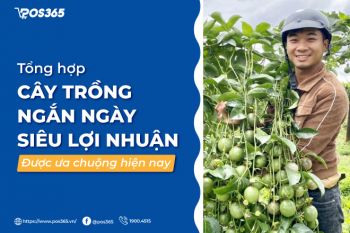 Tổng hợp cây trồng ngắn ngày siêu lợi nhuận được ưa chuộng hiện nay