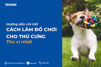 Hướng dẫn chi tiết cách làm đồ chơi thú cưng thú vị nhất 2024